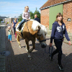 zomermarkt 2012 107