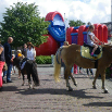 zomermarkt 2012 108