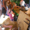 zomermarkt 2012 073