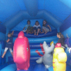 bbq 2012 008 (1)