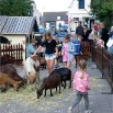 juli 2011 markt 047