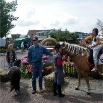 juli 2011 markt 059